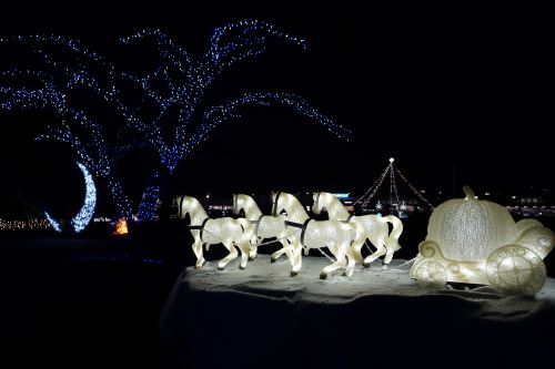 イルミネーション4