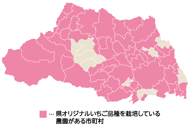 県オリジナルいちご品種を栽培している農園がある市町村のマップ