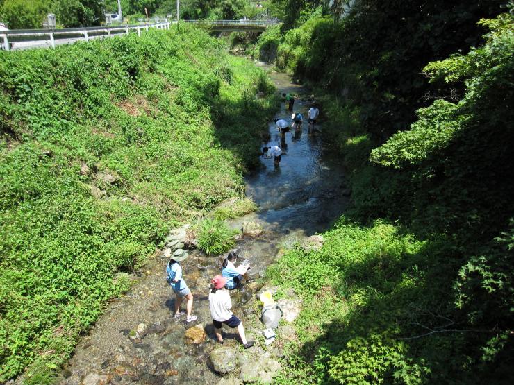 川越女子高校生物部
