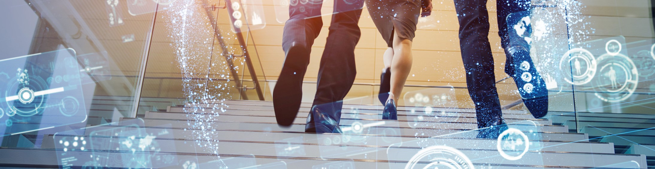 埼玉県の3つのステップ