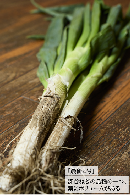 深谷ねぎ