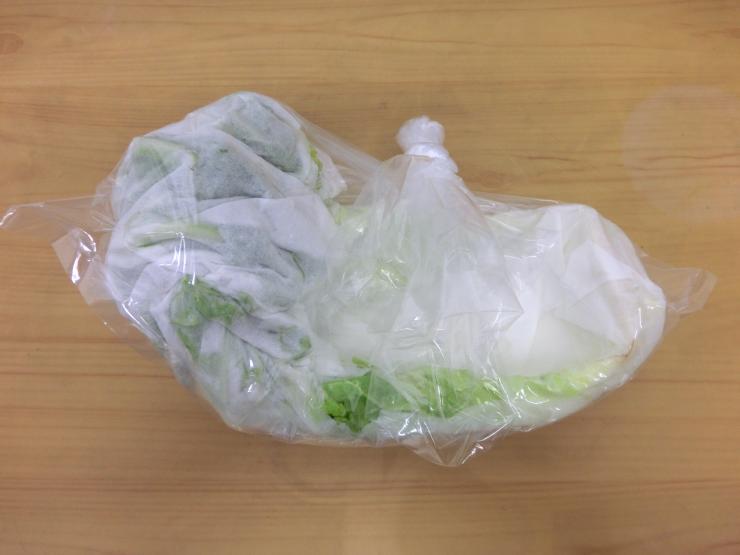白菜の保存方法3