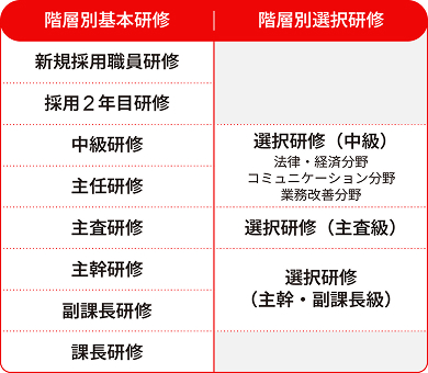 研修制度の表