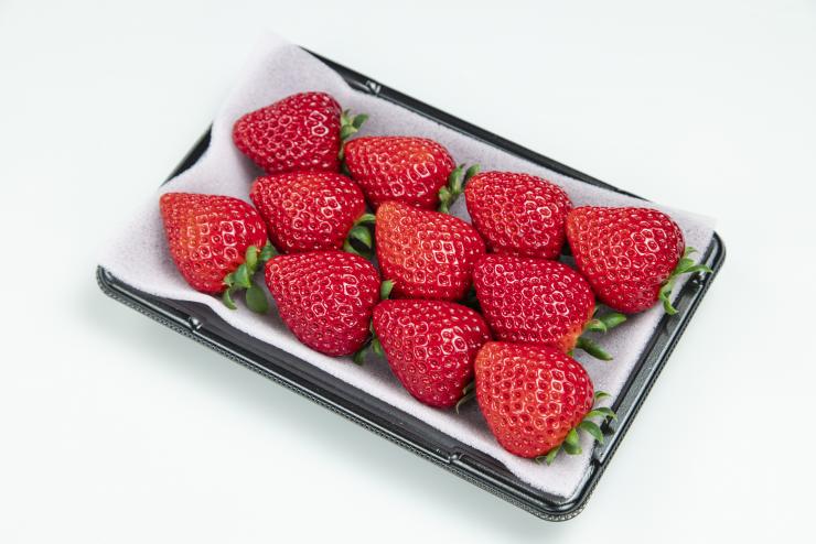 いちごあまりんのパック詰め