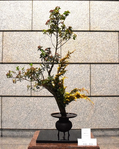 2月19日生け花写真