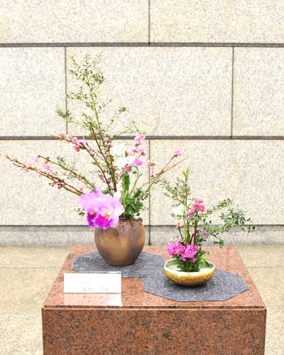 3月4日生け花写真