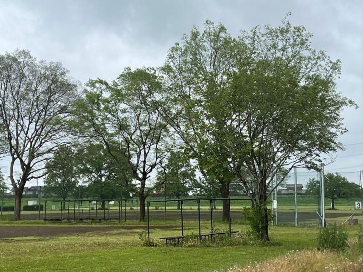 吉見総合運動公園