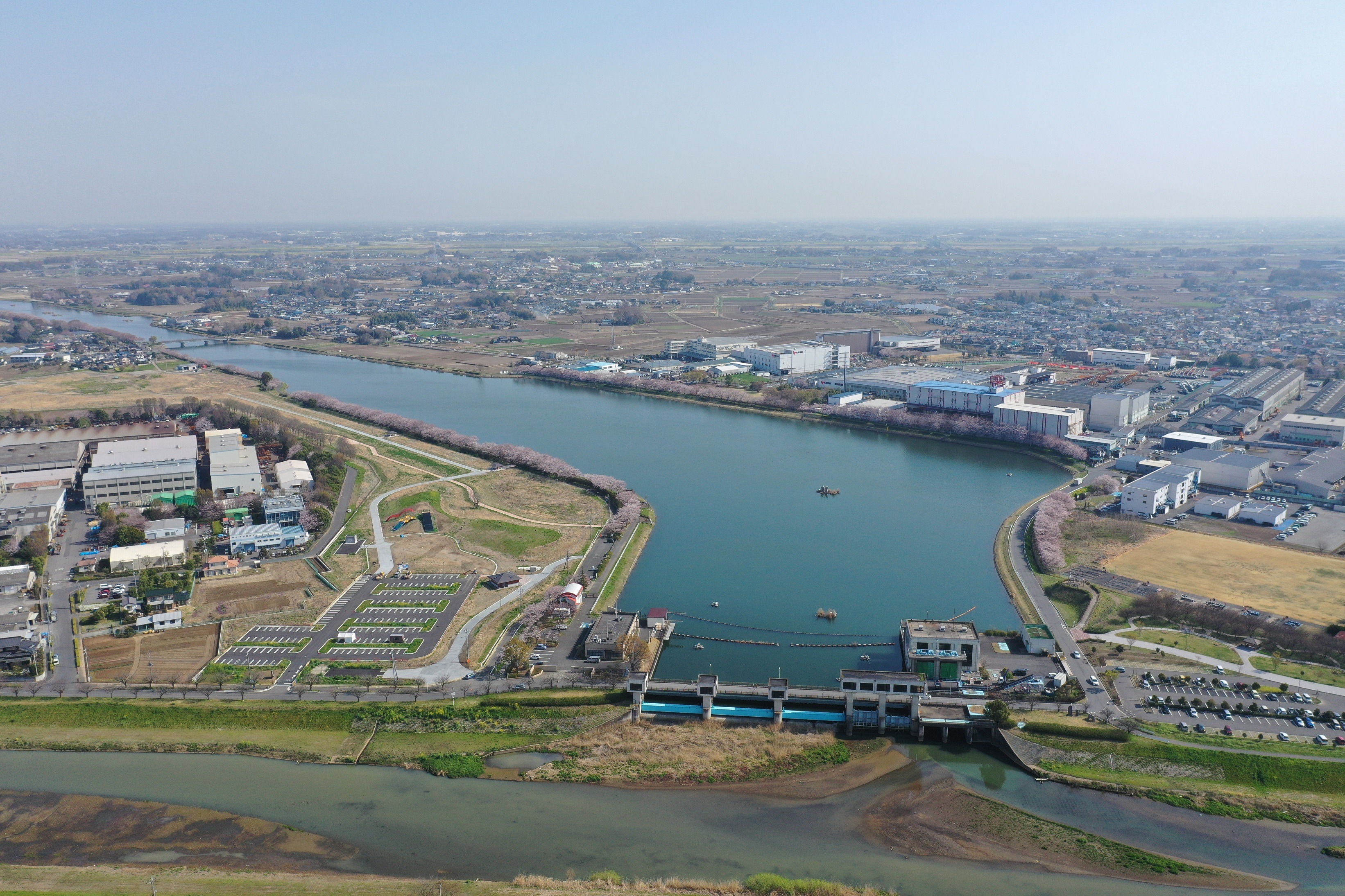 権現堂調節池写真