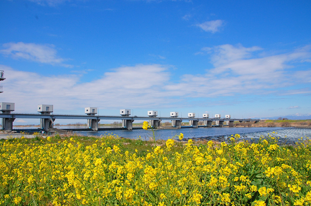 利根大堰の写真
