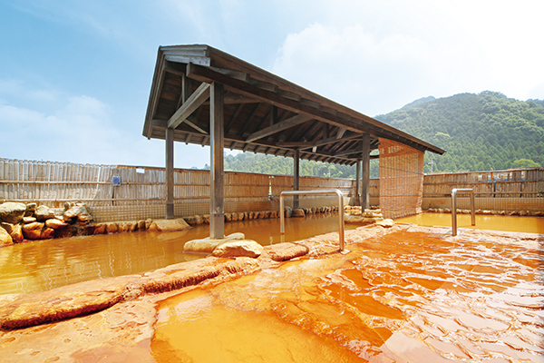 おふろcafé 白寿の湯の入館券（2枚）