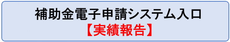 実績報告