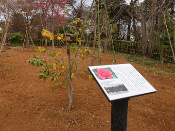 大唐子と案内板