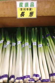 吉川市ねぎ