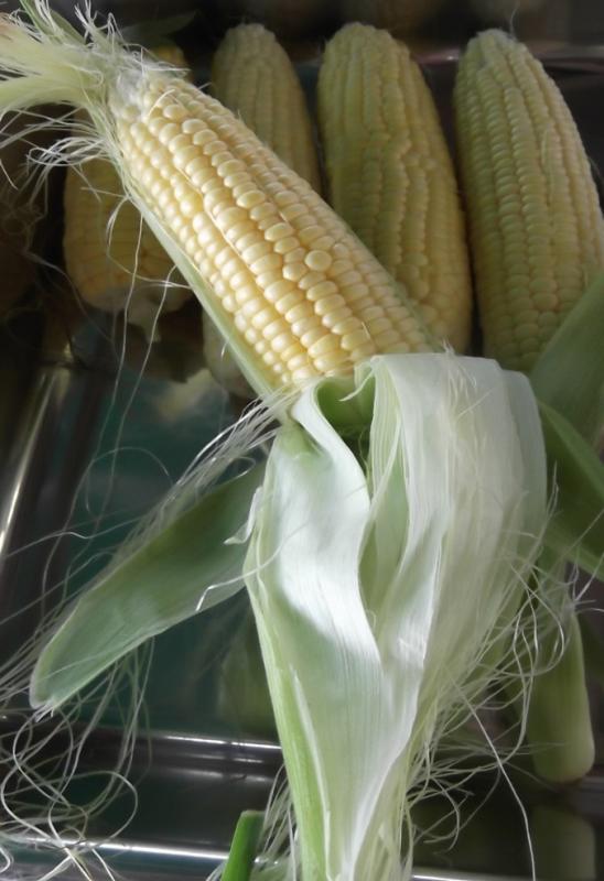 とうもろこし岡部