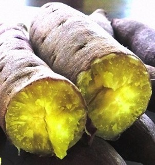 さつまいも川越2