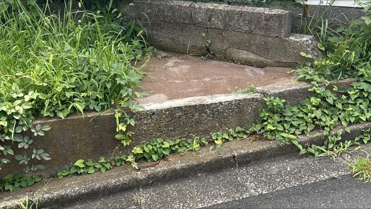 試用4か月目