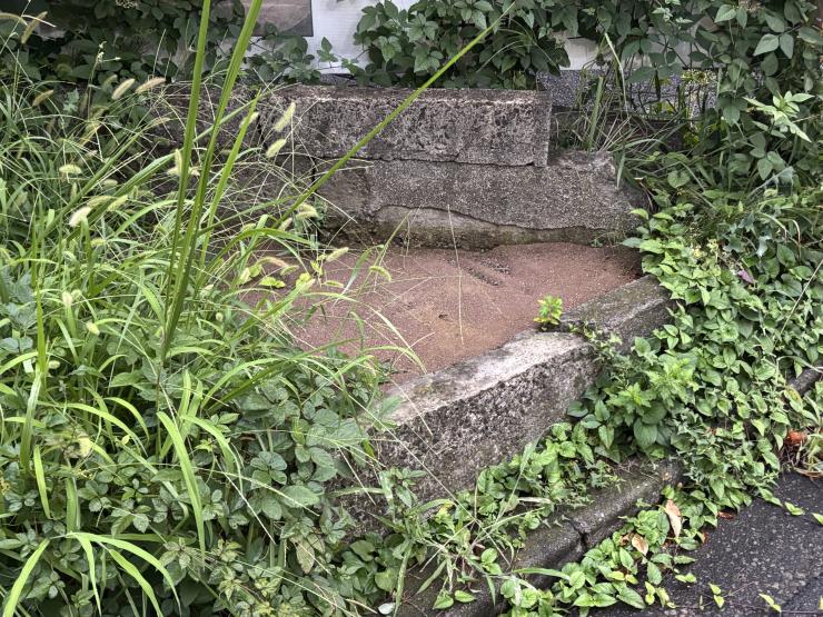 試用5か月目