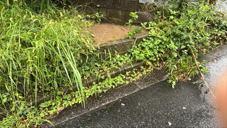 試用6か月目