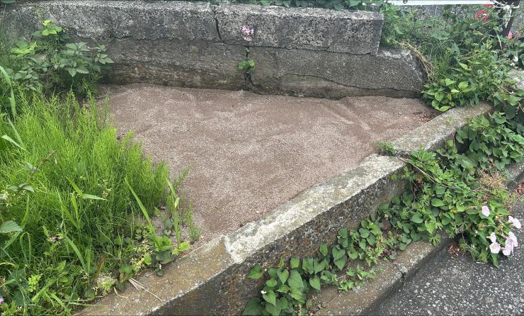 敷設から1か月後