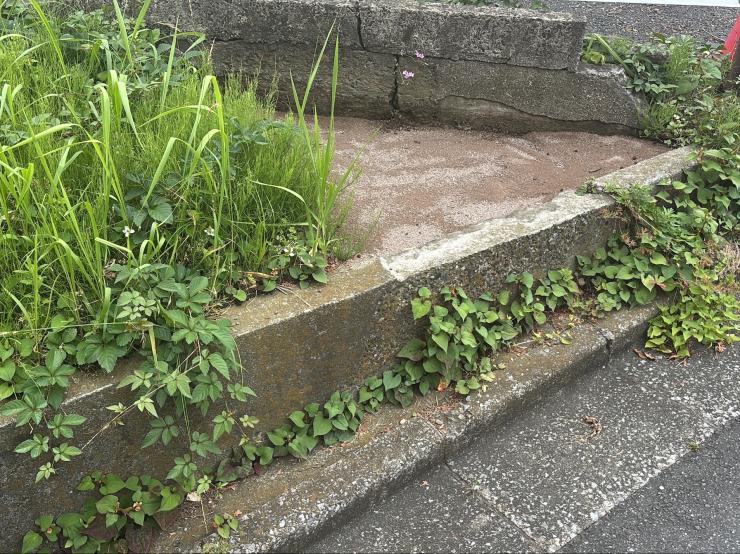 敷設から2ヶ月