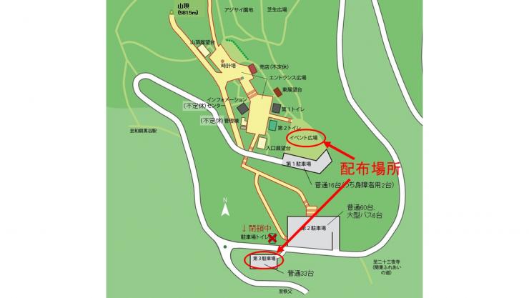 伐採木1