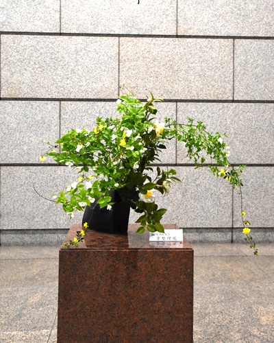 4月14日生け花写真