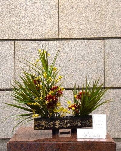 11月12日生け花写真