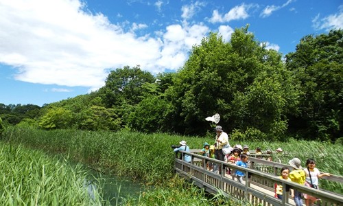 12北本自然観察公園
