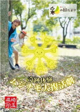 奇跡体験 ムジナモ大復活劇