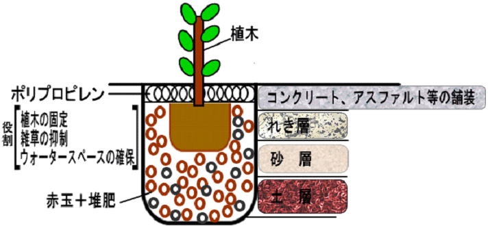 舗装面緑化の断面イメージ図