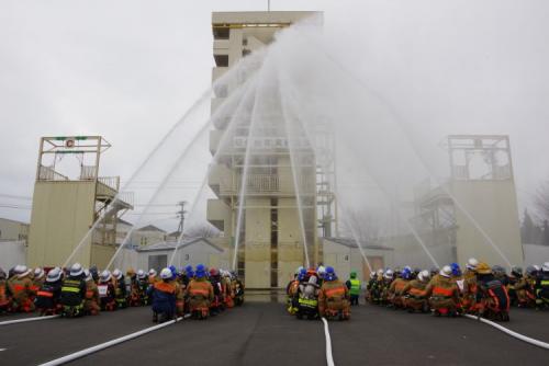実科査閲の画像