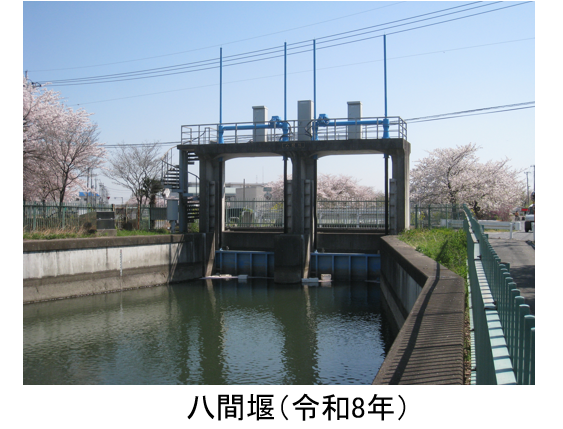 hatireiwa8