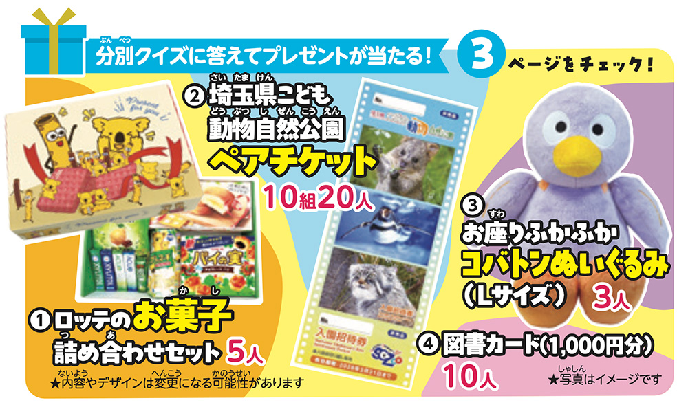 プレゼントの写真