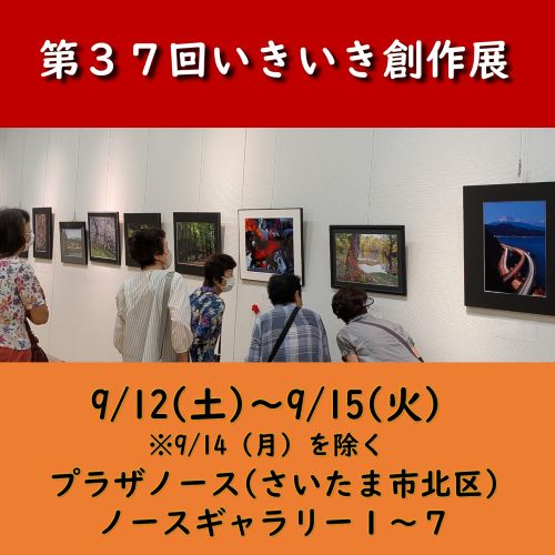 37ikiiki