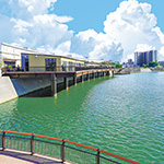 越谷市 Sakura Lake