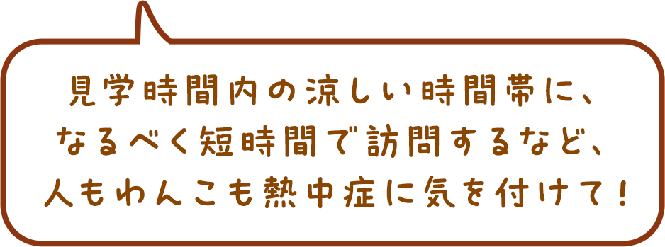 見学時間内の涼しい時間帯に、なるべく短時間で訪問するなど、人もわんこも熱中症に気を付けて!