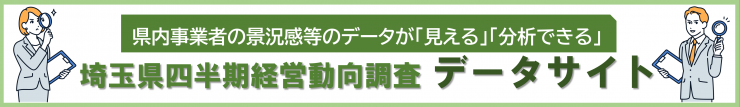 データサイト