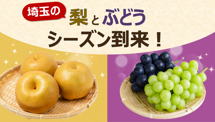 トップ