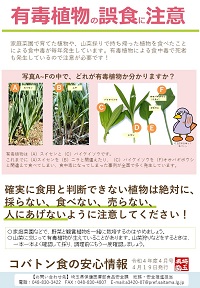 コバ食R4.4月号