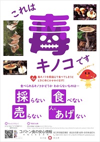 コバ食R6.8月号r