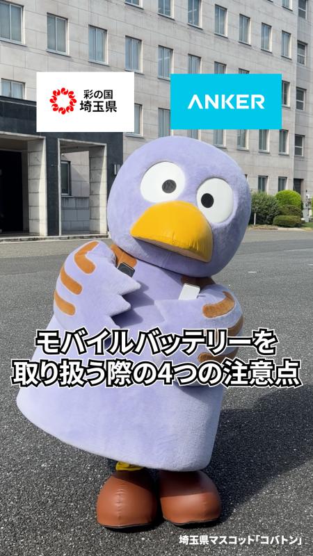 ankersaitama