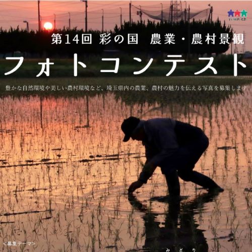 フォトコンテスト写真