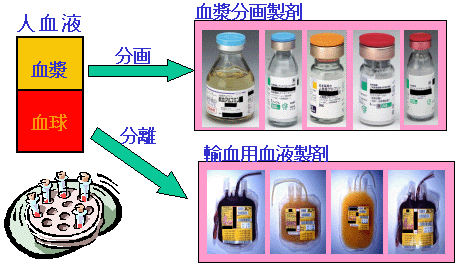 bunkaku