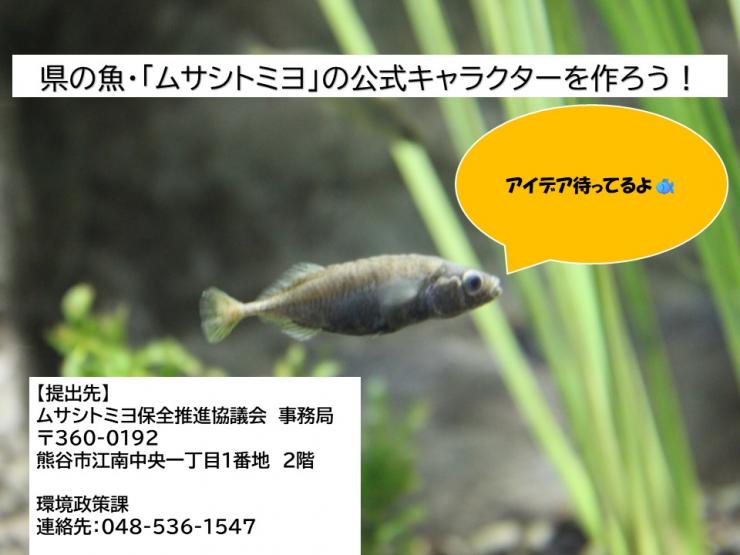 おしゃべりあり