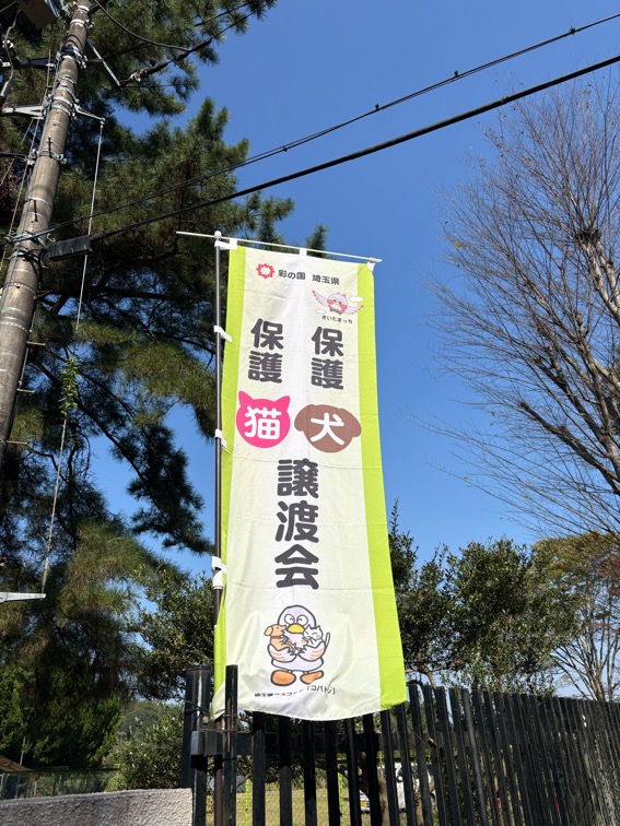 joutokai1.jpg