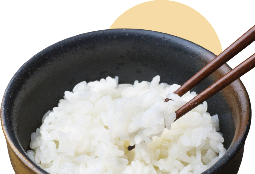 ご飯(えみほころ)を箸ですくった写真
