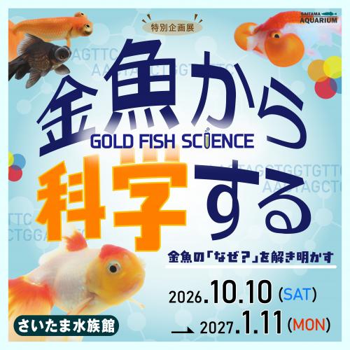 kikakuten202611