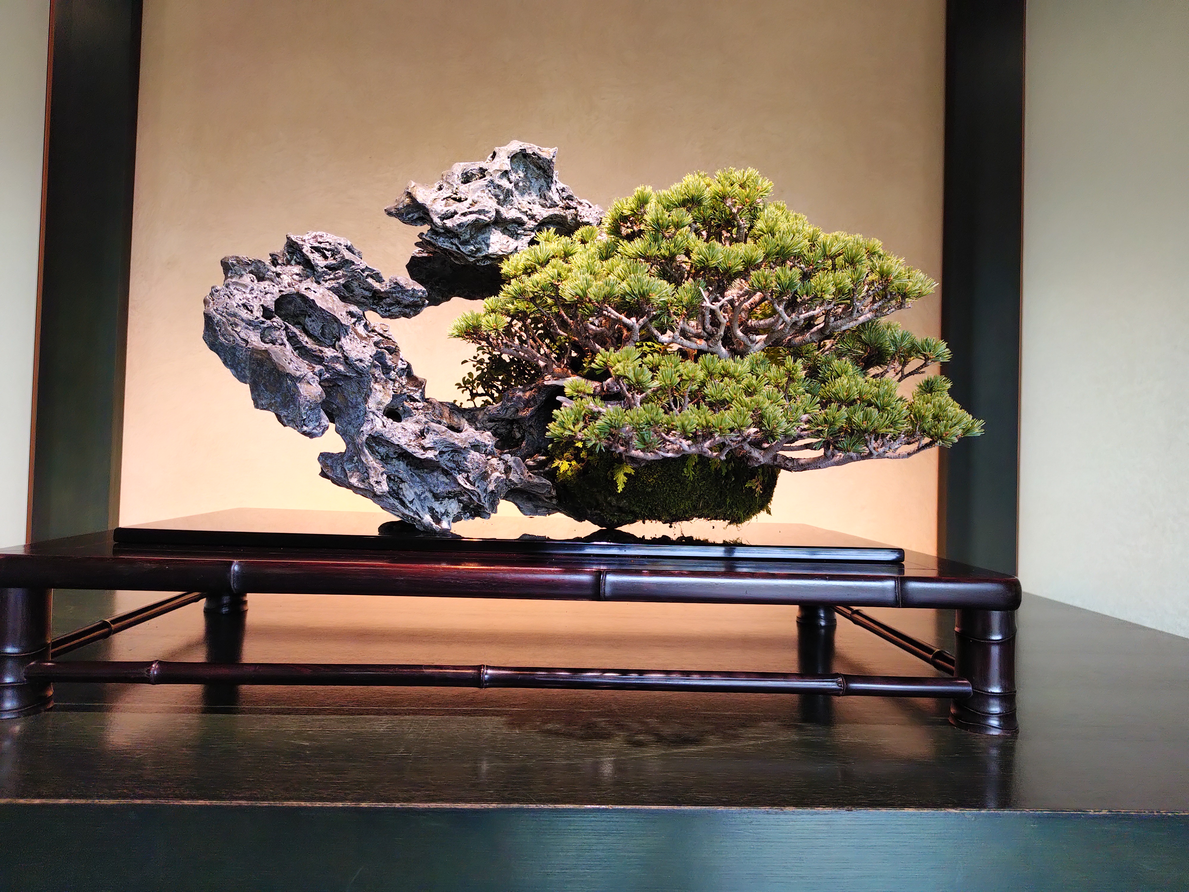 盆栽美術館