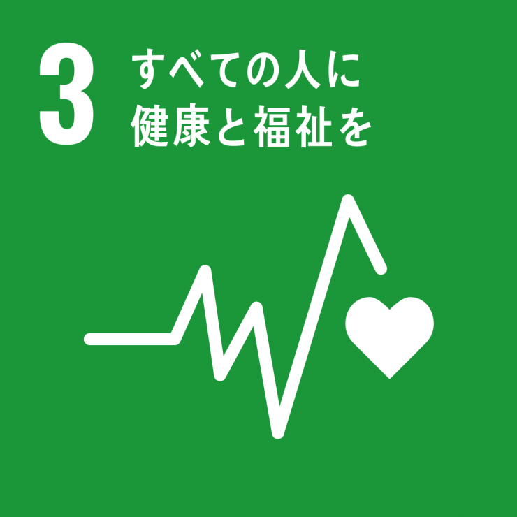 SDGsicon3