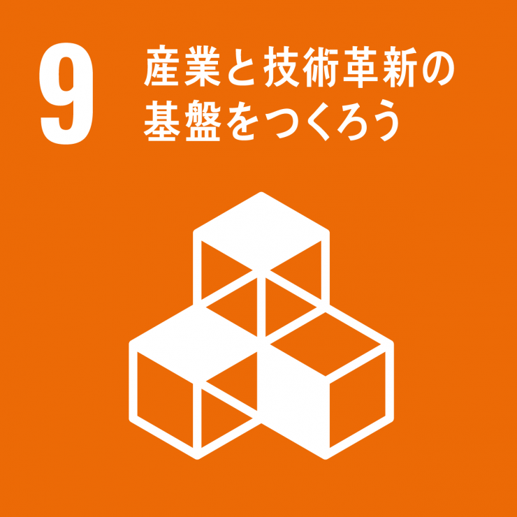 SDGsicon9